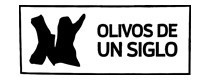 Olivos de Un Siglo